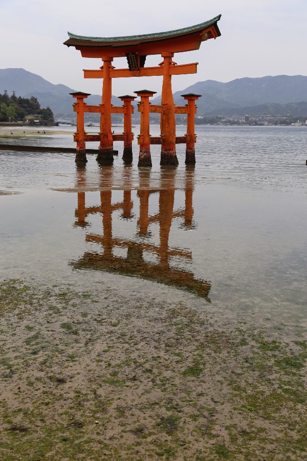 Floating Torii Gate of Itsukushima Shrine