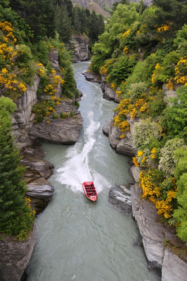 Jet Boating in Shotover River