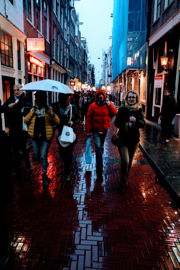 Busy Street in Amsterdam