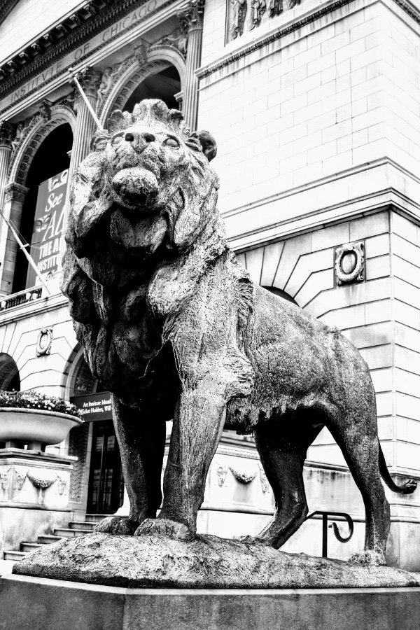 Art Institute of Chicago Lion Statue