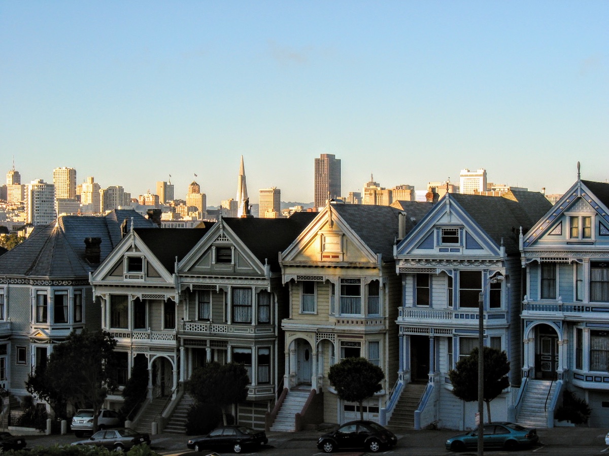 Painted Ladies