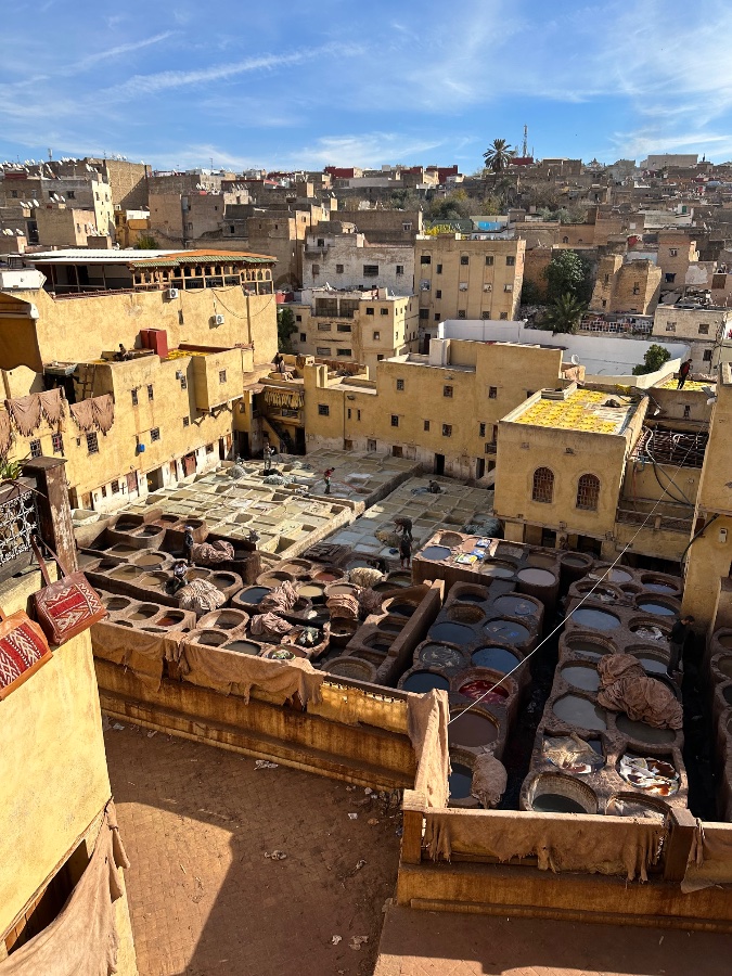 Chouara Tannery