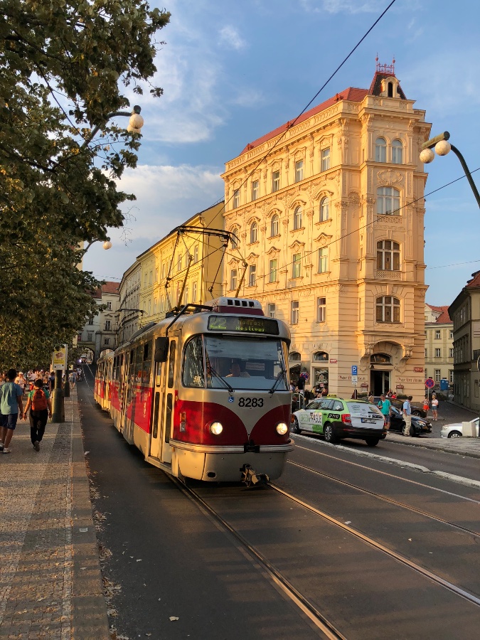 Prague Tram in Evening Light