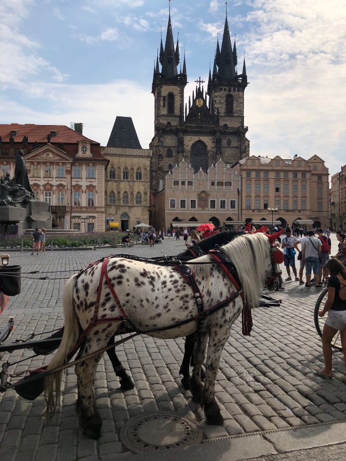 Church of Our Lady before Týn
