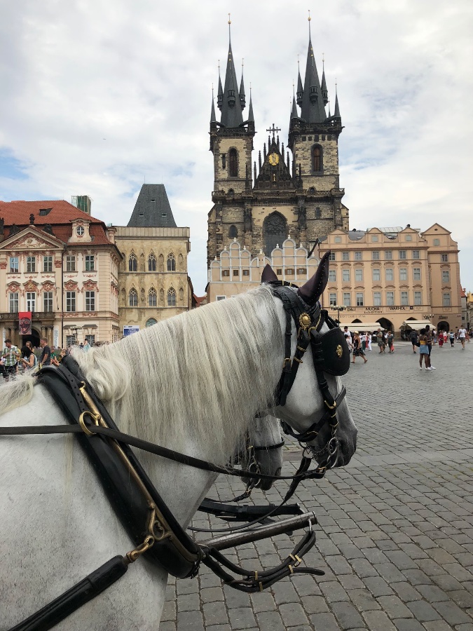 Church of Our Lady before Týn