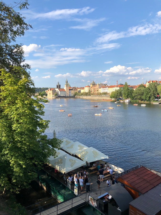 Vltava River View