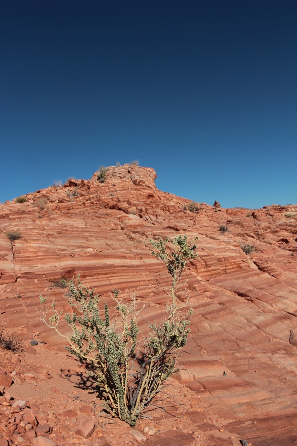Valley of Fire State Park