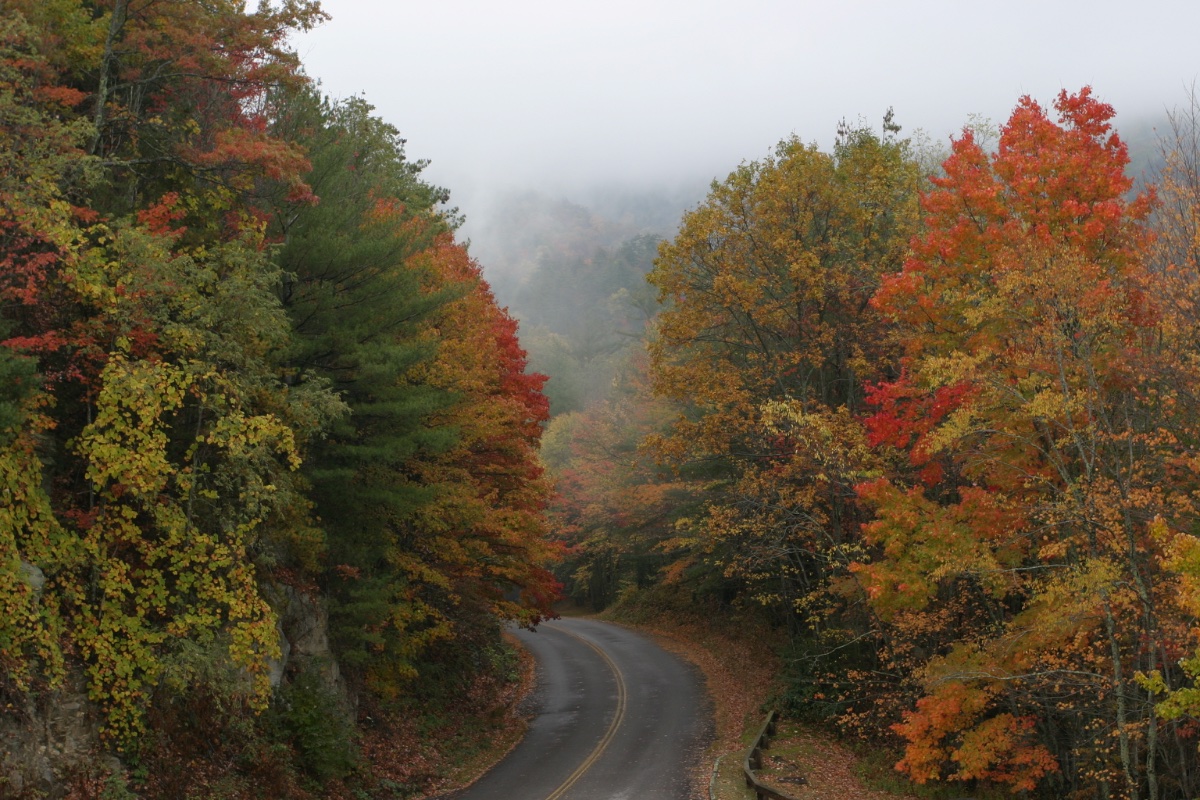 Scenic Mountain Road in Autumn