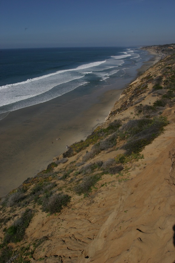 Torrey Pines State Beach