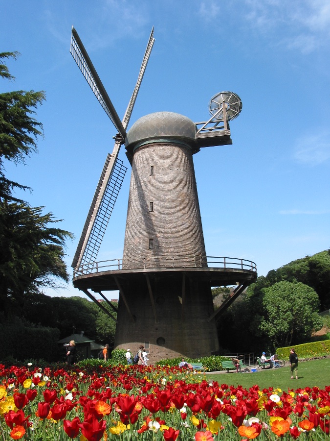 Dutch Windmill in Golden Gate Park