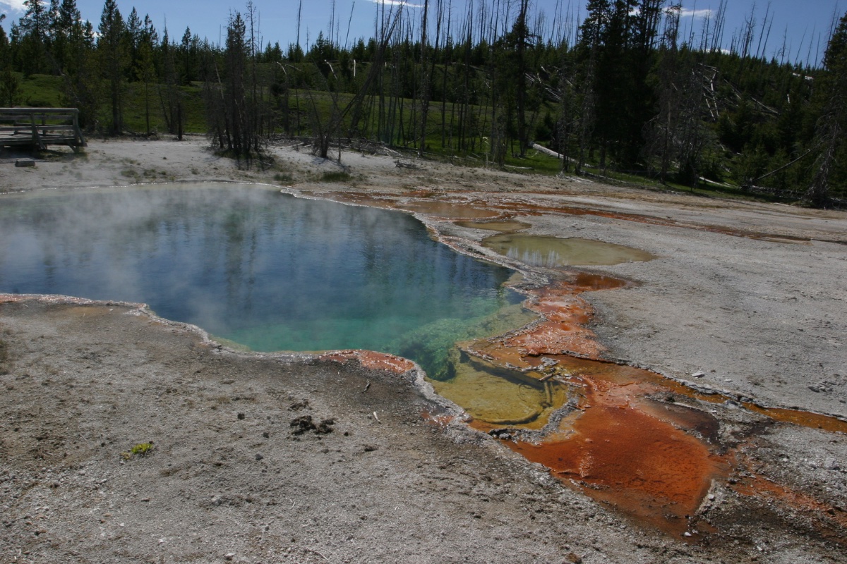 Yellowstone Thermal Pool
