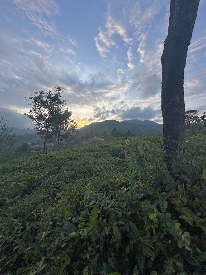 Sunrise over Nilgiri Hills