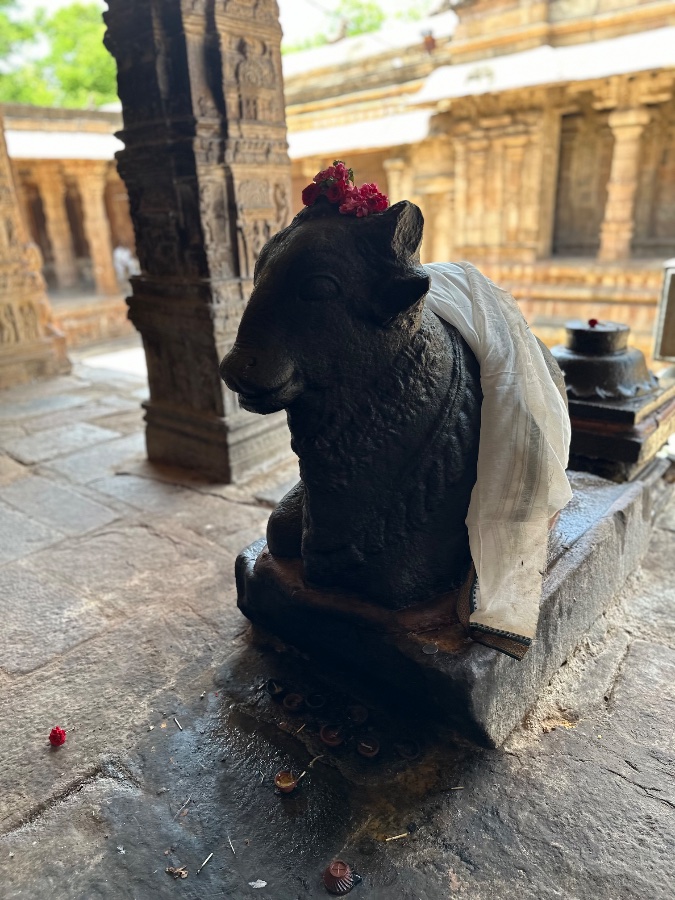 Sacred Nandi Statue