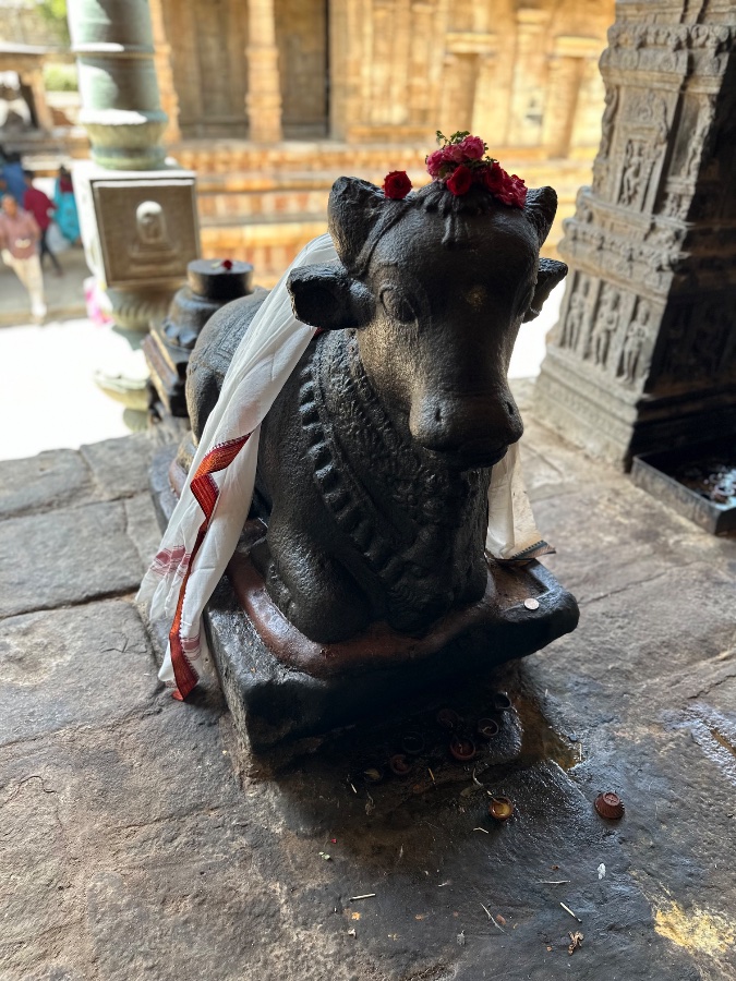 Nandi Statue