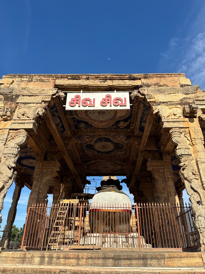Nandi at Brihadeeswarar Temple