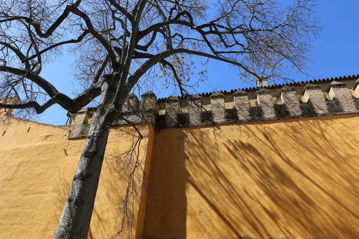 Alcázar Walls
