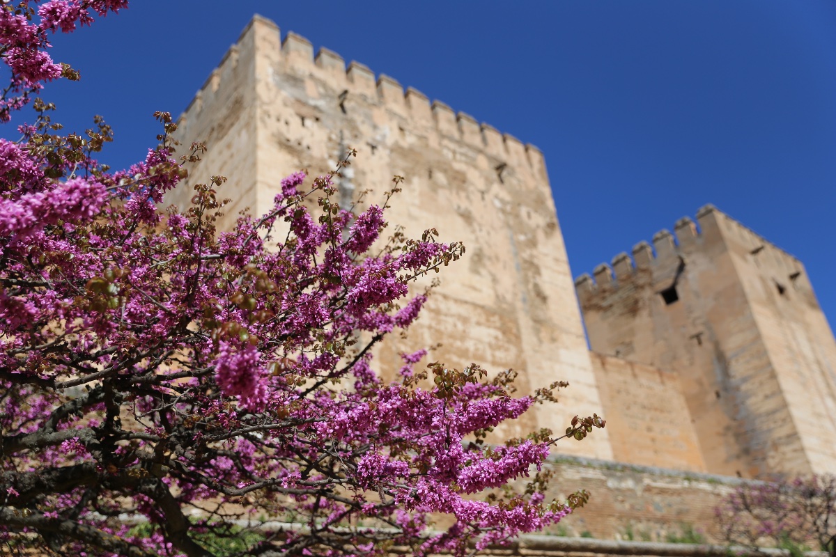 Alhambra in Bloom