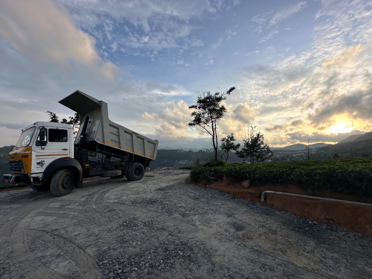 Tea Plantation at Sunrise