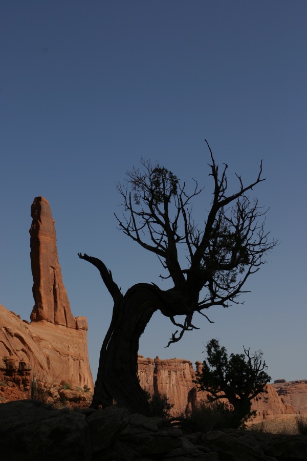 The Three Gossips at Sunset