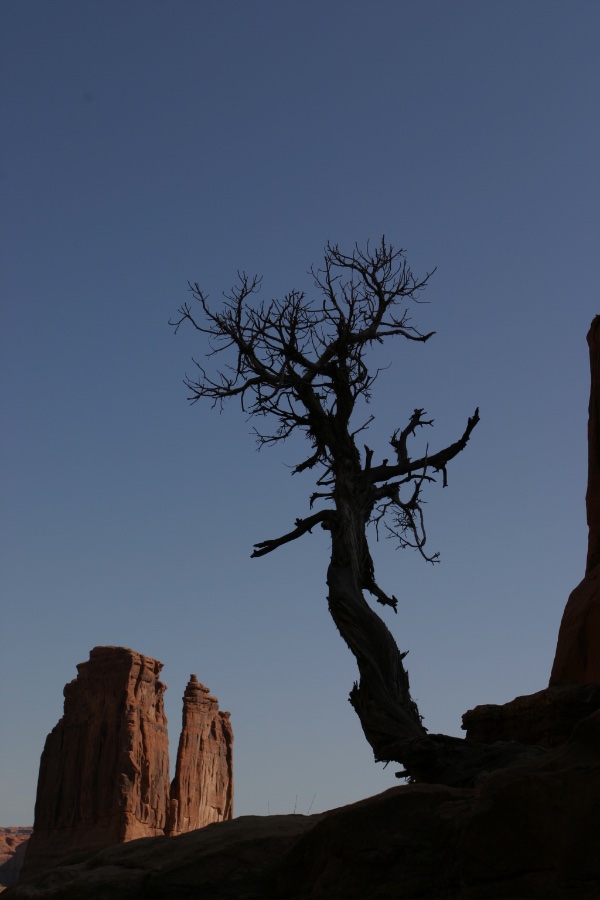 Arches National Park at Dusk