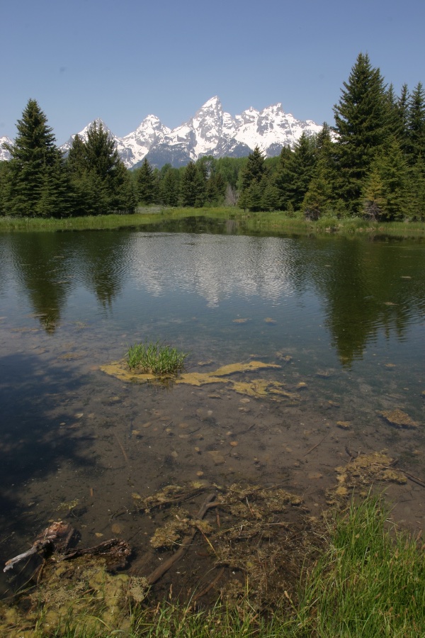 Grand Teton Reflection