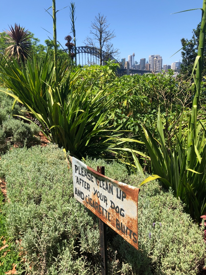 Sydney Skyline from Lavender Bay