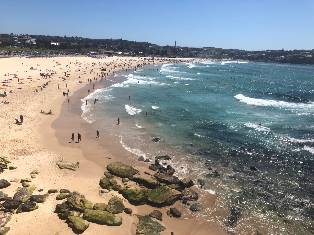 Bondi Beach