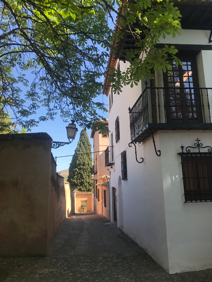 Albayzín Alleyway