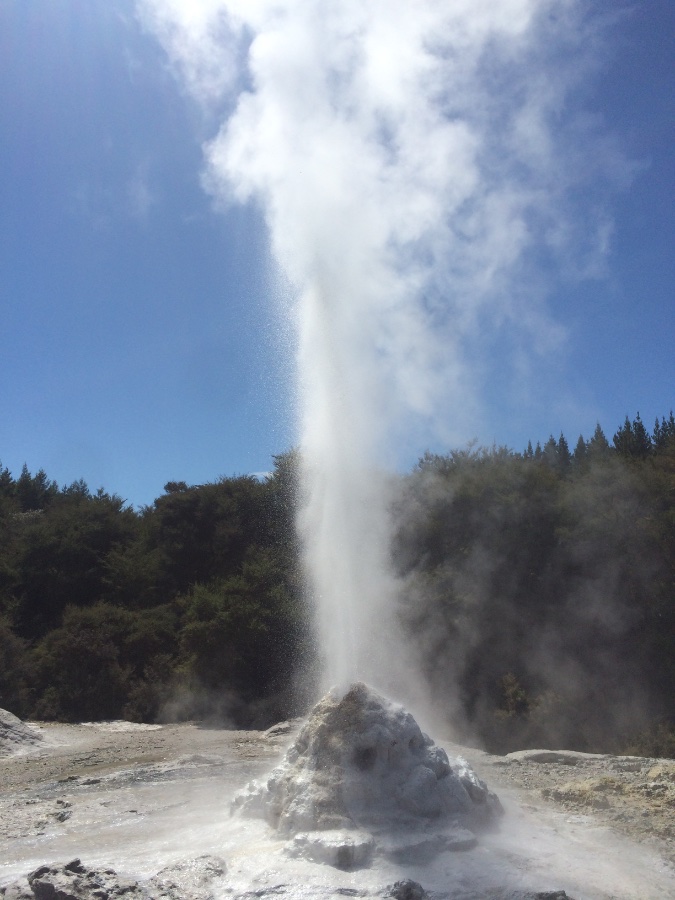 Lady Knox Geyser