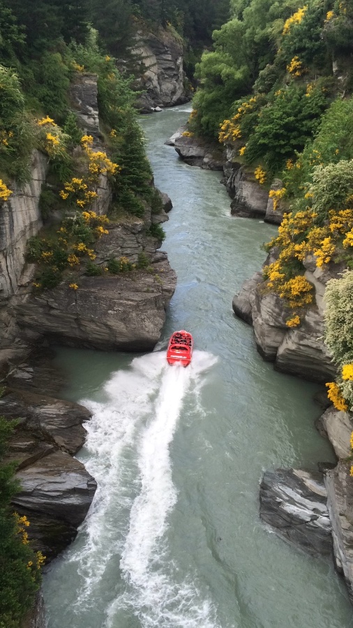 Jet Boat in Shotover River