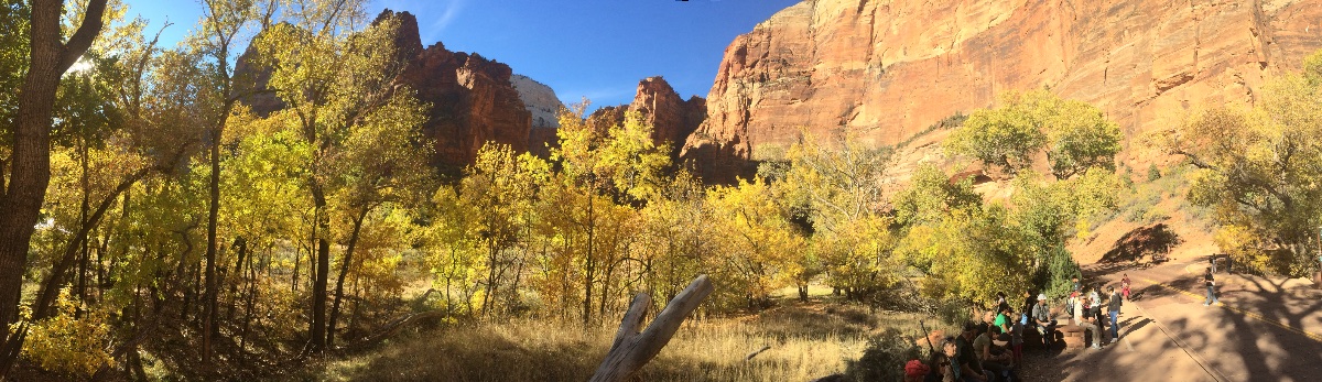 Zion National Park