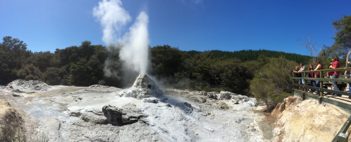 Lady Knox Geyser