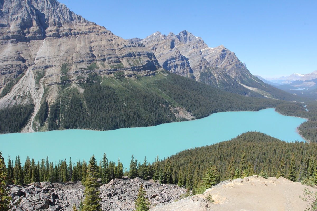 Peyto Lake