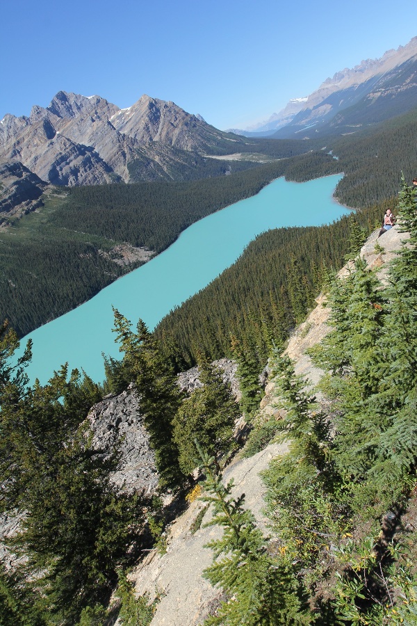 Peyto Lake