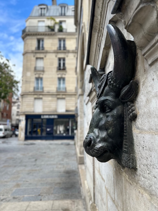 Bull Head Sculpture