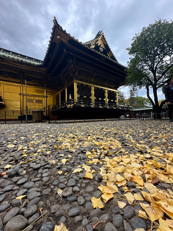 Ueno Toshogu Shrine