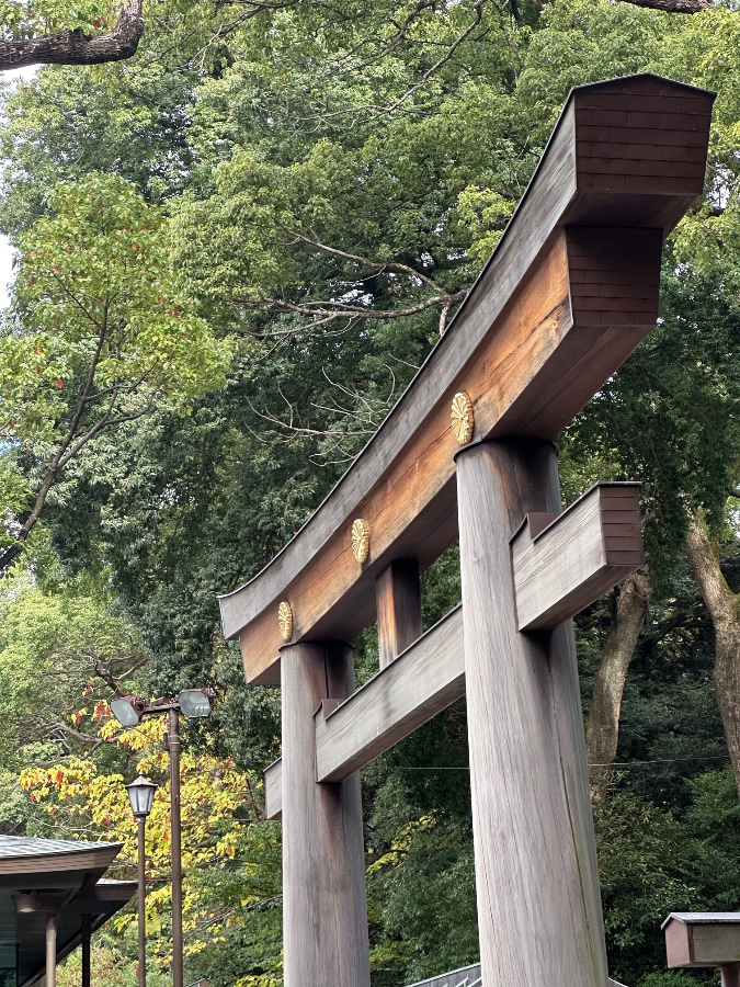Meiji Shrine Torii Gate