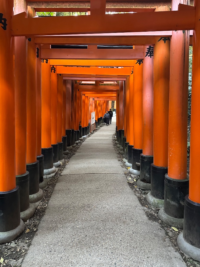Fushimi Inari Taisha Torii Gate Path